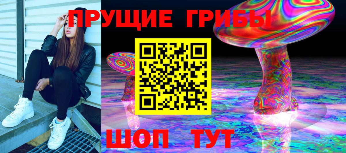 Каменск-Уральский  Псилоцибиновые грибы ЛСД  купить наркотики цена  Галлюциногенные грибы Cubensis  Вход с VPN 