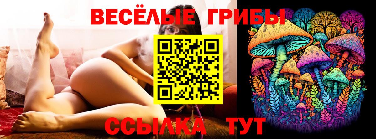 Псилоцибиновые грибы GOLDEN TEACHER Каменск-Уральский